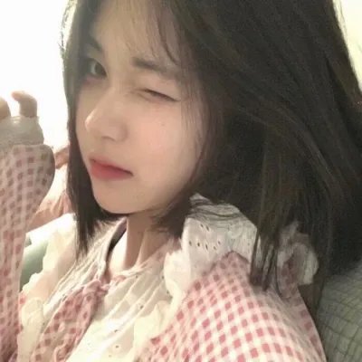 森林之北